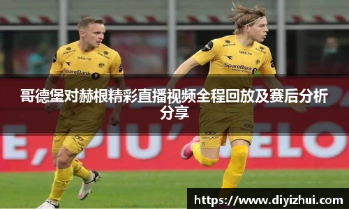 哥德堡对赫根精彩直播视频全程回放及赛后分析分享
